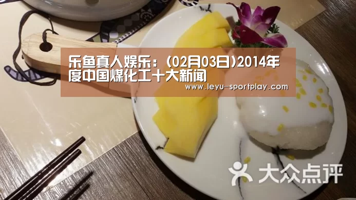 乐鱼真人娱乐:(02月03日)2014年度中国煤化工十大新闻(图2) 乐鱼电竞赛事