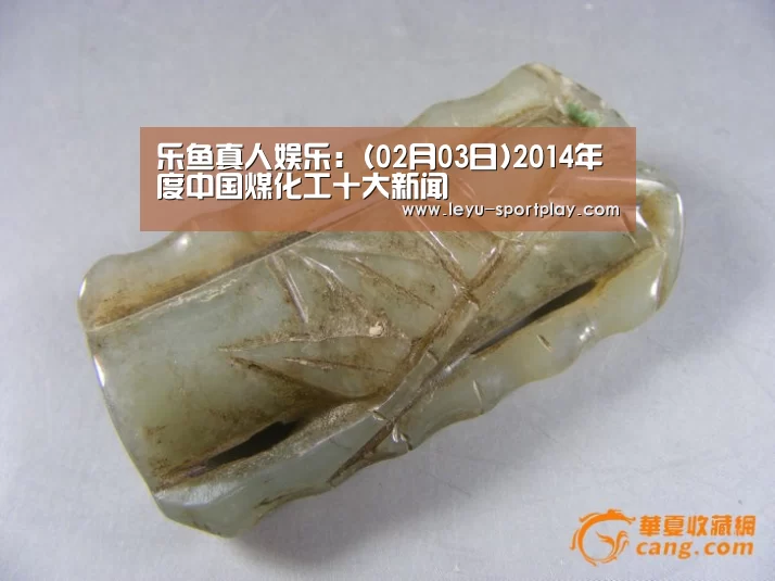 乐鱼真人娱乐:(02月03日)2014年度中国煤化工十大新闻(图3) 乐鱼真人娱乐